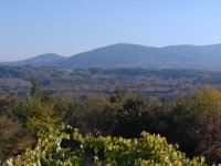 Nekretnina: Na prodaju plac (suma) u Sopotu