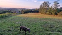 Nekretnina: Plac na prodaju Ducina-Sopot