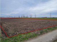 Nekretnina: Prodajem placeve na Palicu