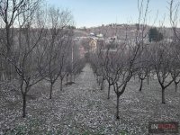 Nekretnina: GRAĐEVINSKI PLAC-LEDINCI