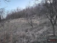 Nekretnina: GRAĐEVINSKI PLAC-LEDINCI