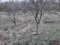 Nekretnina: GRAĐEVINSKI PLAC-LEDINCI