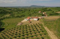 Nekretnina: Blizu Aranđelovca, profitabilno poljoprivredno gazdinstvo