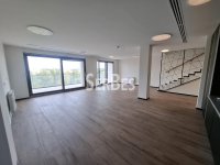 Nekretnina: Lux poslovni prostor 314m2 na Limanu III ID#1708