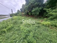 Nekretnina: Gradjevinski plac 591m2 u sremskim Karlovcima za poslovanje ID#1679