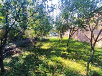 Nekretnina: Stara Misa, uknjižen građevinski plac
