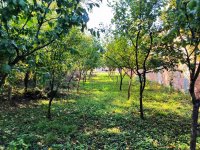 Nekretnina: Stara Misa, uknjižen građevinski plac