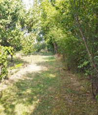 Nekretnina: Stara Misa, uknjižen građevinski plac