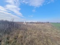 Nekretnina: Šimanovci, Legdar, 115 ari plac, uknjižen ID#10233