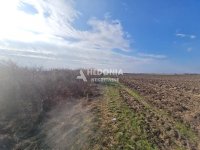 Nekretnina: Šimanovci, Legdar, 115 ari plac, uknjižen ID#10233