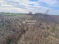 Nekretnina: Šimanovci, Legdar, 115 ari plac, uknjižen ID#10233