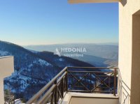 Nekretnina: Kopaonik, Milmari, noviji, 0.5, opremljen, useljiv ID#10222