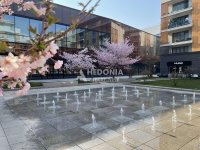 Nekretnina: West 65, izdavanje, nov, lux 4.0 kao posl.prostor ID#10151