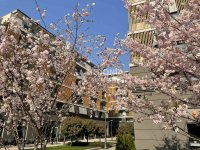 Nekretnina: West 65, izdavanje, nov, lux 4.0 kao posl.prostor ID#10151