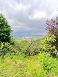 Nekretnina: Aranđelovac, selo Misača, 5.0 kuća, plac 22 ara ID#10023