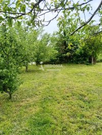 Nekretnina: Aranđelovac, selo Misača, 5.0 kuća, plac 22 ara ID#10023