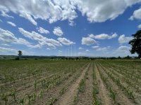 Nekretnina: Kosmaj, Velika Ivanča, građevinsko zemljište ID#3253