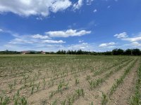 Nekretnina: Kosmaj, Velika Ivanča, građevinsko zemljište ID#3253