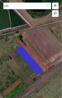 Nekretnina: Prodajem poljoprivredno zemljiste-Žabalj