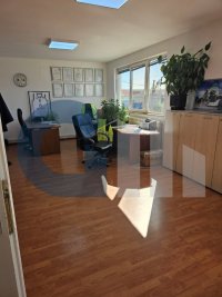 Nekretnina: PALILULA Pita Maravića ID: 90751907