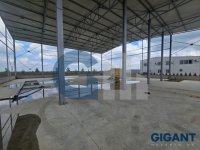 Nekretnina: SURCIN Mala pustara ID: 891131350