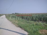 Nekretnina: PALILULA Vajfertova - Ovča ID: 855772039