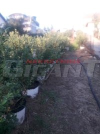 Nekretnina: RAKOVICA Miljakovačke staze ID: 680544510