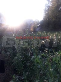 Nekretnina: RAKOVICA Miljakovačke staze ID: 680544510