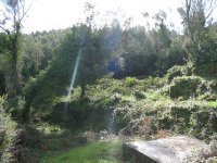 Nekretnina: Plac u Krašićima opština Tivat Boka Kotorska