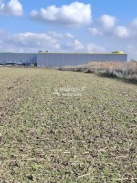 Nekretnina: Blok 53, Kvantaš, Ševino polje, plac 31.2 ara ID#10275