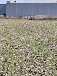 Nekretnina: Blok 53, Kvantaš, Ševino polje, plac 31.2 ara ID#10275