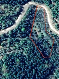 Nekretnina: Tara-parcela na prodaju