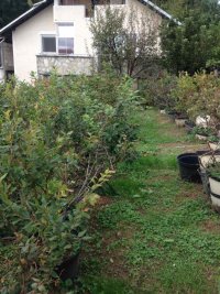 Nekretnina: Plac 6 ari - miran i obasjan plac na Miljakovcu 3