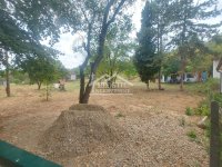 Nekretnina: Smederevo - Udovički prokop - 19,95 ari ID#22203