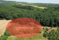 Nekretnina: Prodajem zemljiste Krušedol-Irig