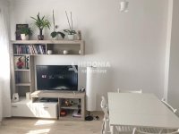 Nekretnina: Zemun, Centar, Vrtlarska, 1.5, lux, namešten ID#10285