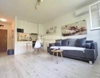 Nekretnina: Banovo brdo, 0.5, renoviran, opremljen ID#10295