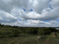 Nekretnina: Smederevo - Udovički prokop - 12,32ara ID#24570