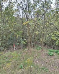 Nekretnina: Plac Devojački Bunar