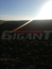 Nekretnina: SURCIN ID: 821942662