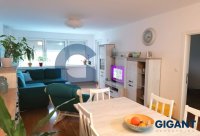 Nekretnina: PALILULA Milorada Dimitrijevića ID: 9513513