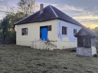 Nekretnina: Organski vinograd u najlepšem delu Crne Gore