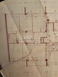 Nekretnina: Stari grad - Topličin venac - 3.0 ID#24718