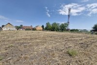 Nekretnina: 7 Jula,Kula,Kruščić,15ari