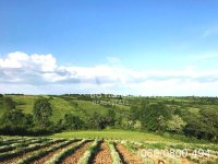 Nekretnina: Plac na Kosmaju-Mladenovac-Velika Ivanča ID#3339