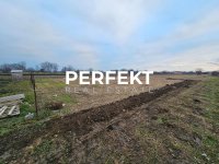 Nekretnina: Misa,plac 5,5 ari