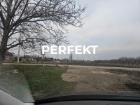 Nekretnina: Misa,plac 5,5 ari