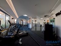 Nekretnina: ZVEZDARA Ravanička ID: 890381541