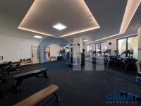 Nekretnina: ZVEZDARA Ravanička ID: 890381541