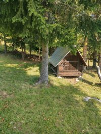 Nekretnina: TARA plac 70a sa izvorom, vlasnik